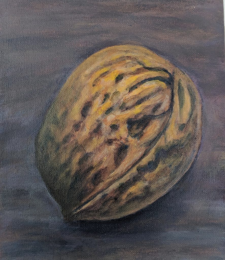 painting of a walnut