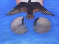 birth_of_a_pheonix-med